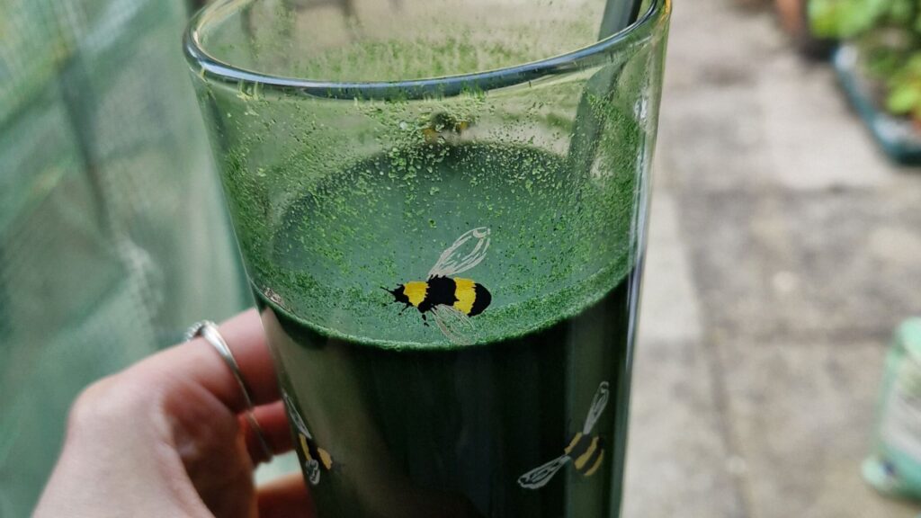 Protein Works super extreme greens as part of my what I eat in a day for fat loss blog post